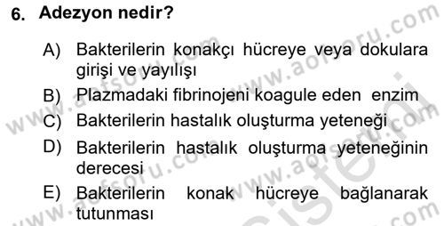 Temel Veteriner Mikrobiyoloji ve İmmünoloji Dersi 2021 - 2022 Yılı Yaz Okulu Sınav Soruları 6. Soru