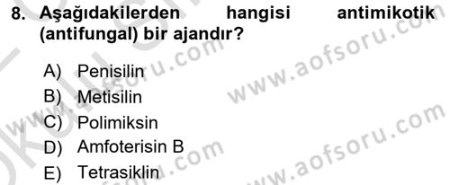 Temel Veteriner Mikrobiyoloji ve İmmünoloji Dersi 2021 - 2022 Yılı Yaz Okulu Sınav Soruları 8. Soru