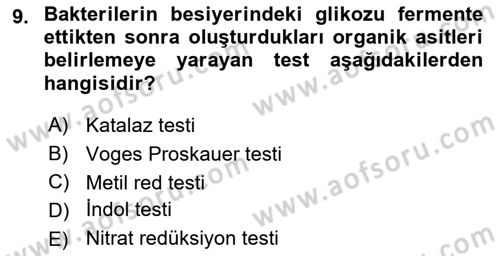Temel Veteriner Mikrobiyoloji ve İmmünoloji Dersi 2021 - 2022 Yılı Yaz Okulu Sınav Soruları 9. Soru