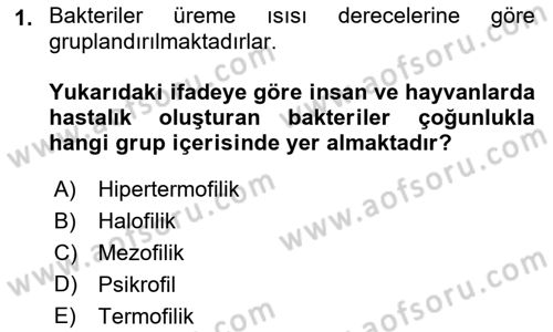Temel Veteriner Mikrobiyoloji ve İmmünoloji Dersi 2022 - 2023 Yılı Yaz Okulu Sınav Soruları 1. Soru