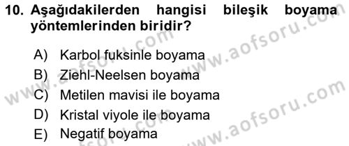 Temel Veteriner Mikrobiyoloji ve İmmünoloji Dersi 2022 - 2023 Yılı Yaz Okulu Sınav Soruları 10. Soru