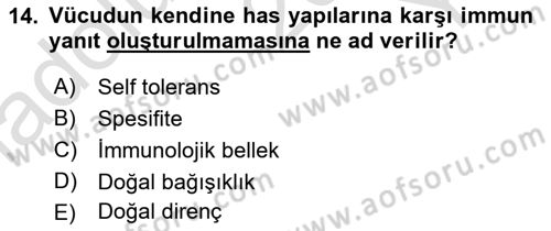 Temel Veteriner Mikrobiyoloji ve İmmünoloji Dersi 2022 - 2023 Yılı Yaz Okulu Sınav Soruları 14. Soru
