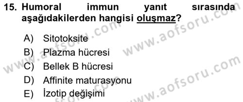 Temel Veteriner Mikrobiyoloji ve İmmünoloji Dersi 2022 - 2023 Yılı Yaz Okulu Sınav Soruları 15. Soru