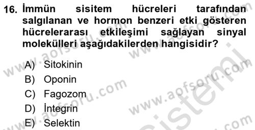 Temel Veteriner Mikrobiyoloji ve İmmünoloji Dersi 2022 - 2023 Yılı Yaz Okulu Sınav Soruları 16. Soru