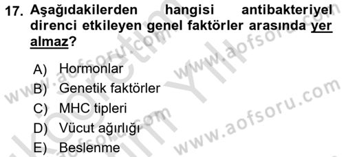 Temel Veteriner Mikrobiyoloji ve İmmünoloji Dersi 2022 - 2023 Yılı Yaz Okulu Sınav Soruları 17. Soru