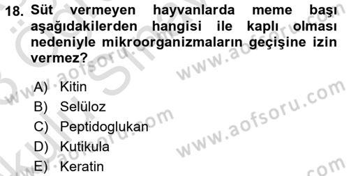 Temel Veteriner Mikrobiyoloji ve İmmünoloji Dersi 2022 - 2023 Yılı Yaz Okulu Sınav Soruları 18. Soru