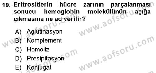 Temel Veteriner Mikrobiyoloji ve İmmünoloji Dersi 2022 - 2023 Yılı Yaz Okulu Sınav Soruları 19. Soru