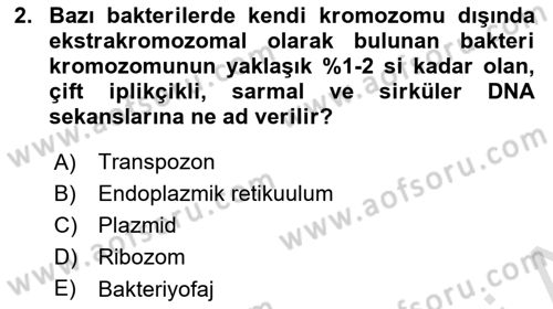 Temel Veteriner Mikrobiyoloji ve İmmünoloji Dersi 2022 - 2023 Yılı Yaz Okulu Sınav Soruları 2. Soru
