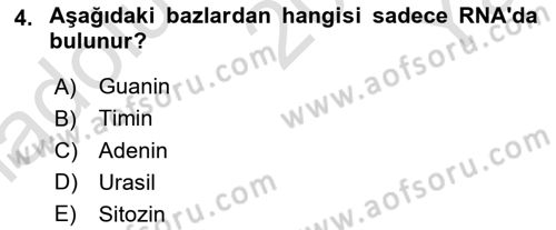 Temel Veteriner Mikrobiyoloji ve İmmünoloji Dersi 2022 - 2023 Yılı Yaz Okulu Sınav Soruları 4. Soru