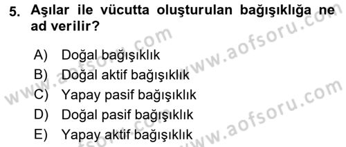 Temel Veteriner Mikrobiyoloji ve İmmünoloji Dersi 2022 - 2023 Yılı Yaz Okulu Sınav Soruları 5. Soru