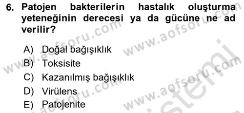 Temel Veteriner Mikrobiyoloji ve İmmünoloji Dersi 2022 - 2023 Yılı Yaz Okulu Sınav Soruları 6. Soru