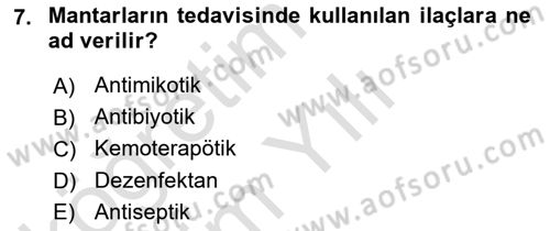 Temel Veteriner Mikrobiyoloji ve İmmünoloji Dersi 2022 - 2023 Yılı Yaz Okulu Sınav Soruları 7. Soru