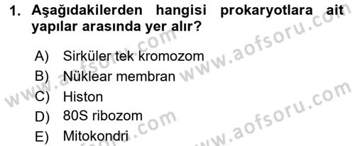 Temel Veteriner Mikrobiyoloji ve İmmünoloji Dersi 2023 - 2024 Yılı (Vize) Ara Sınav Soruları 1. Soru