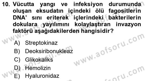 Temel Veteriner Mikrobiyoloji ve İmmünoloji Dersi 2023 - 2024 Yılı (Vize) Ara Sınav Soruları 10. Soru