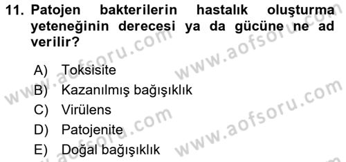 Temel Veteriner Mikrobiyoloji ve İmmünoloji Dersi 2023 - 2024 Yılı (Vize) Ara Sınavı 11. Soru