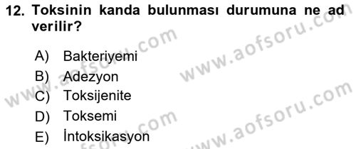 Temel Veteriner Mikrobiyoloji ve İmmünoloji Dersi 2023 - 2024 Yılı (Vize) Ara Sınav Soruları 12. Soru