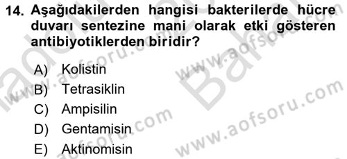 Temel Veteriner Mikrobiyoloji ve İmmünoloji Dersi 2023 - 2024 Yılı (Vize) Ara Sınav Soruları 14. Soru