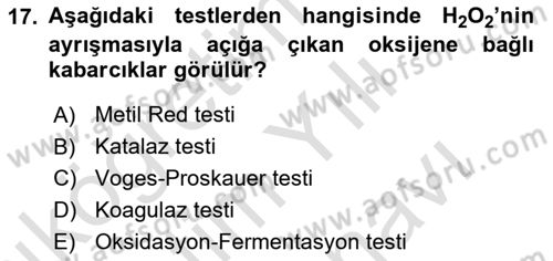 Temel Veteriner Mikrobiyoloji ve İmmünoloji Dersi 2023 - 2024 Yılı (Vize) Ara Sınav Soruları 17. Soru