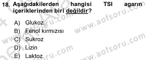 Temel Veteriner Mikrobiyoloji ve İmmünoloji Dersi 2023 - 2024 Yılı (Vize) Ara Sınav Soruları 18. Soru