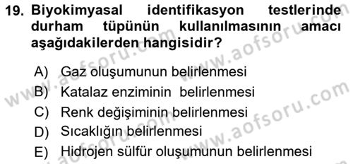 Temel Veteriner Mikrobiyoloji ve İmmünoloji Dersi 2023 - 2024 Yılı (Vize) Ara Sınav Soruları 19. Soru