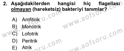 Temel Veteriner Mikrobiyoloji ve İmmünoloji Dersi 2023 - 2024 Yılı (Vize) Ara Sınav Soruları 2. Soru