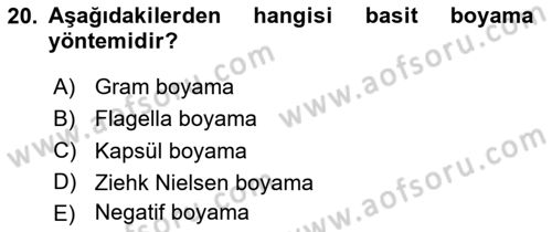 Temel Veteriner Mikrobiyoloji ve İmmünoloji Dersi 2023 - 2024 Yılı (Vize) Ara Sınav Soruları 20. Soru