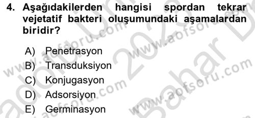 Temel Veteriner Mikrobiyoloji ve İmmünoloji Dersi 2023 - 2024 Yılı (Vize) Ara Sınav Soruları 4. Soru