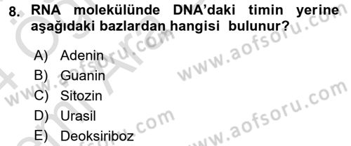 Temel Veteriner Mikrobiyoloji ve İmmünoloji Dersi 2023 - 2024 Yılı (Vize) Ara Sınav Soruları 8. Soru