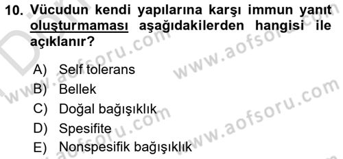 Temel Veteriner Mikrobiyoloji ve İmmünoloji Dersi 2023 - 2024 Yılı (Final) Dönem Sonu Sınav Soruları 10. Soru