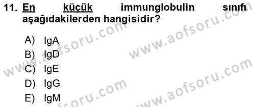 Temel Veteriner Mikrobiyoloji ve İmmünoloji Dersi 2023 - 2024 Yılı (Final) Dönem Sonu Sınav Soruları 11. Soru