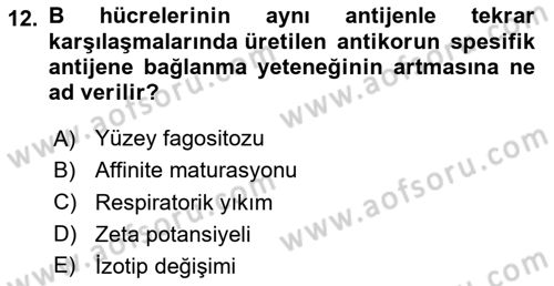 Temel Veteriner Mikrobiyoloji ve İmmünoloji Dersi 2023 - 2024 Yılı (Final) Dönem Sonu Sınav Soruları 12. Soru