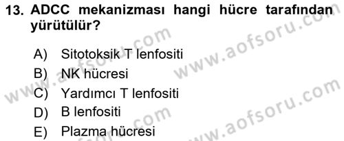 Temel Veteriner Mikrobiyoloji ve İmmünoloji Dersi 2023 - 2024 Yılı (Final) Dönem Sonu Sınav Soruları 13. Soru