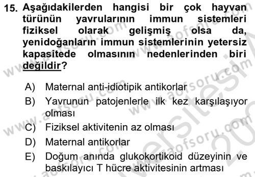 Temel Veteriner Mikrobiyoloji ve İmmünoloji Dersi 2023 - 2024 Yılı (Final) Dönem Sonu Sınav Soruları 15. Soru