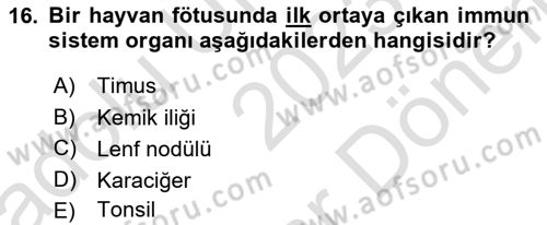 Temel Veteriner Mikrobiyoloji ve İmmünoloji Dersi 2023 - 2024 Yılı (Final) Dönem Sonu Sınav Soruları 16. Soru