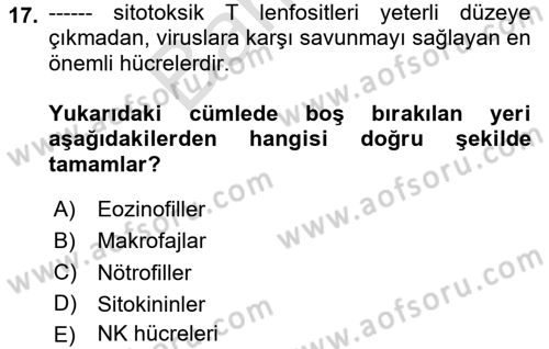 Temel Veteriner Mikrobiyoloji ve İmmünoloji Dersi 2023 - 2024 Yılı (Final) Dönem Sonu Sınav Soruları 17. Soru