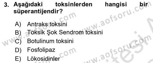 Temel Veteriner Mikrobiyoloji ve İmmünoloji Dersi 2023 - 2024 Yılı (Final) Dönem Sonu Sınav Soruları 3. Soru