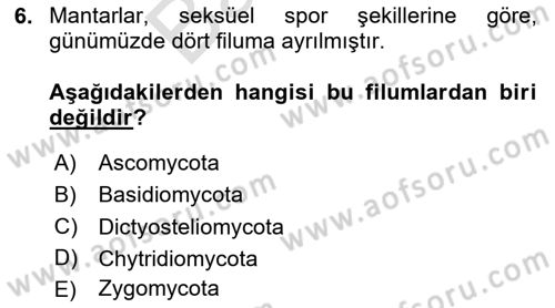 Temel Veteriner Mikrobiyoloji ve İmmünoloji Dersi 2023 - 2024 Yılı (Final) Dönem Sonu Sınav Soruları 6. Soru
