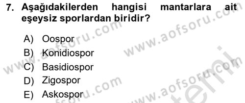 Temel Veteriner Mikrobiyoloji ve İmmünoloji Dersi 2023 - 2024 Yılı (Final) Dönem Sonu Sınav Soruları 7. Soru