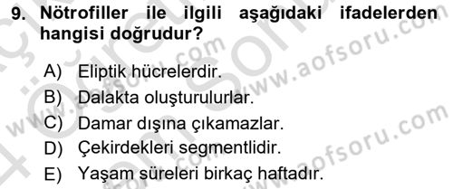 Temel Veteriner Mikrobiyoloji ve İmmünoloji Dersi 2023 - 2024 Yılı (Final) Dönem Sonu Sınav Soruları 9. Soru
