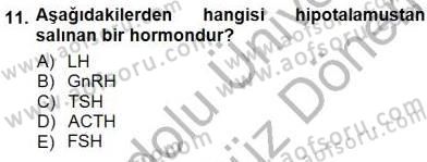 Temel Veteriner Fizyoloji Dersi 2012 - 2013 Yılı (Final) Dönem Sonu Sınav Soruları 11. Soru
