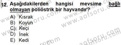 Temel Veteriner Fizyoloji Dersi 2012 - 2013 Yılı (Final) Dönem Sonu Sınav Soruları 12. Soru