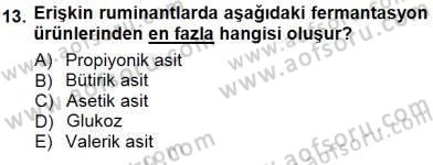 Temel Veteriner Fizyoloji Dersi 2012 - 2013 Yılı (Final) Dönem Sonu Sınav Soruları 13. Soru