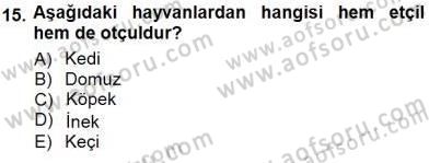 Temel Veteriner Fizyoloji Dersi 2012 - 2013 Yılı (Final) Dönem Sonu Sınav Soruları 15. Soru