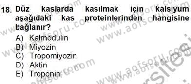 Temel Veteriner Fizyoloji Dersi 2012 - 2013 Yılı (Final) Dönem Sonu Sınav Soruları 18. Soru