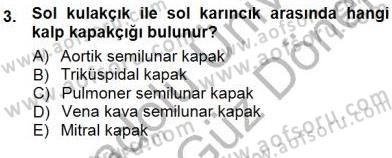 Temel Veteriner Fizyoloji Dersi 2012 - 2013 Yılı (Final) Dönem Sonu Sınav Soruları 3. Soru