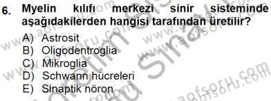 Temel Veteriner Fizyoloji Dersi 2012 - 2013 Yılı (Final) Dönem Sonu Sınav Soruları 6. Soru