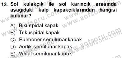 Temel Veteriner Fizyoloji Dersi 2013 - 2014 Yılı (Vize) Ara Sınav Soruları 13. Soru