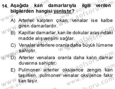Temel Veteriner Fizyoloji Dersi 2013 - 2014 Yılı (Vize) Ara Sınav Soruları 14. Soru