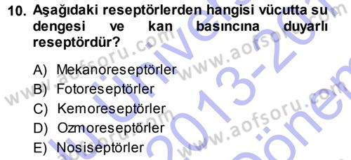 Temel Veteriner Fizyoloji Dersi 2013 - 2014 Yılı (Final) Dönem Sonu Sınav Soruları 10. Soru
