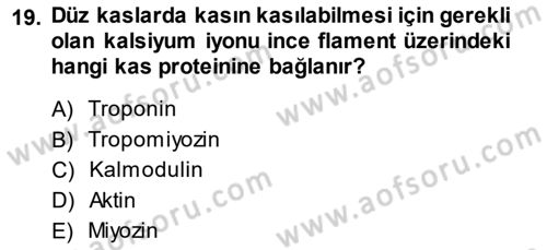 Temel Veteriner Fizyoloji Dersi 2013 - 2014 Yılı (Final) Dönem Sonu Sınav Soruları 19. Soru